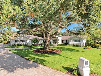 16407 Zurraquin De Avila, Tampa, FL, 33613