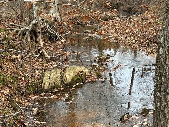 3rd image of Perkins Mill Rd