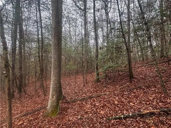 0 E Mountaintown Trl #120, Ellijay, GA 30540