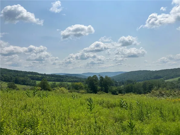 0 Cobbe Cross Rd #4, Hamden, NY 13782