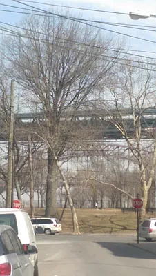 Rented by BuySell Real Estate Inc | media 13