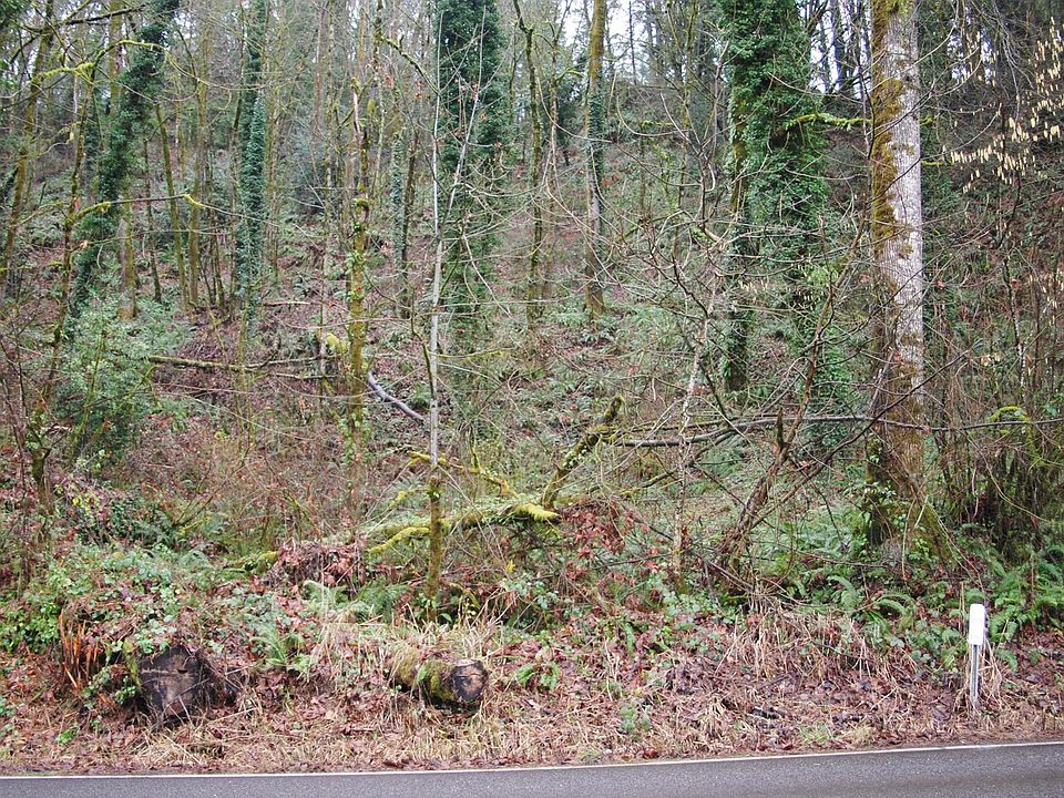 1st image of 0 S Clackamas River Dr
