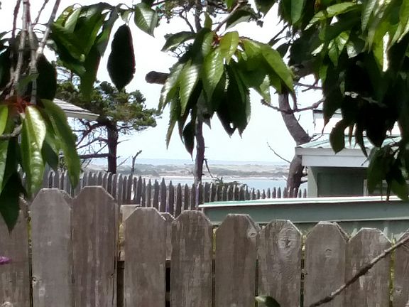 Ocean view from back yard