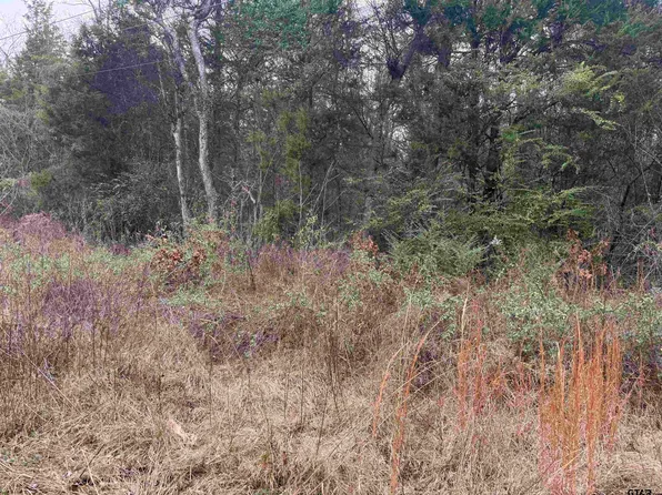 1150 Brazos St, Bullard, TX 75757