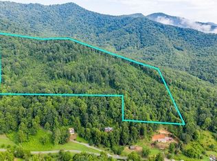 99999 Warren Creek Rd, Candler, NC 28715