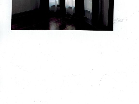Living Room; Lots of window for natural light
