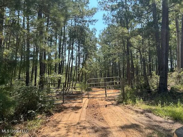 0 Charlie Rhodus Rd, Magnolia, MS 39652