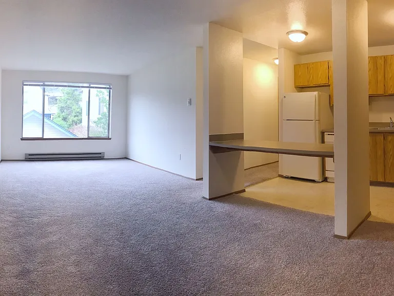 The Shannon Apartments — Photo 8