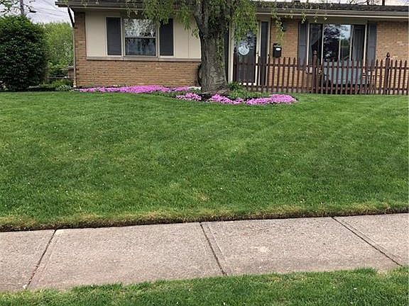 4th image of 1008 Brian Ct