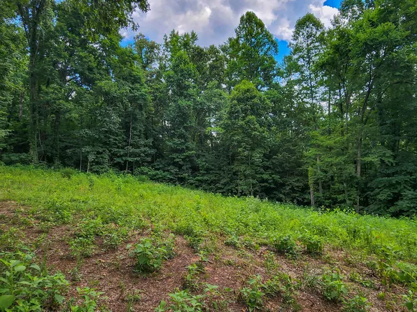 LOT 2 Peregrine Dr, Tazewell, TN 37879