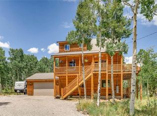 717 Vine Rd, Fairplay, CO 80440