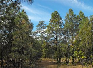 1984 Green Top Dr, Happy Jack, AZ 86024