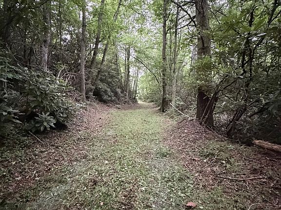 3rd image of 7853 Joe Poore Rd