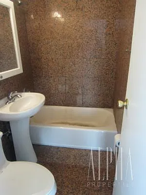 Rented by Alpha Properties NYC I LLC | media 14