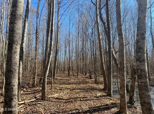 Off County Rd #243, Etta, MS 38627