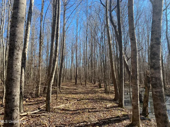 Off County Rd #243, Etta, MS 38627