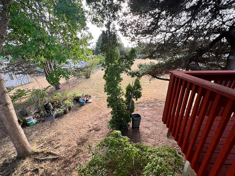 Backyard view