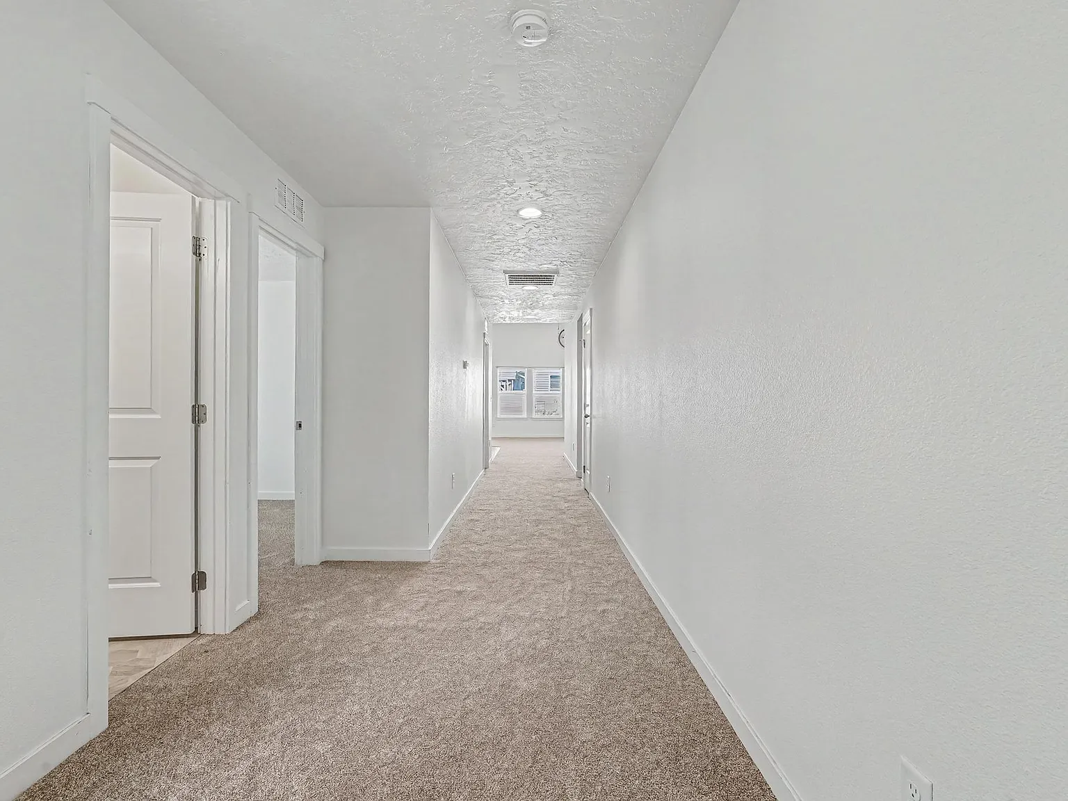 Bethany — Photo 2