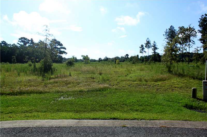 1st image of Sassafras Way