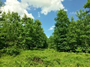 0 State Rd, Chase, MI 49623