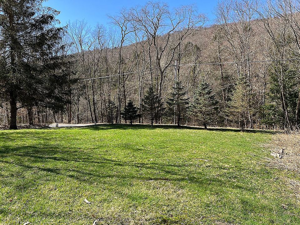 609 Burnwood Rd, East Branch, NY 13756 Zillow