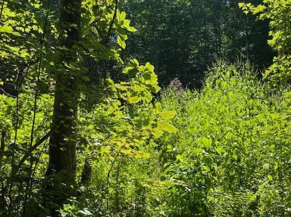 Big Four Rd Tract 3, La Follette, TN 37766