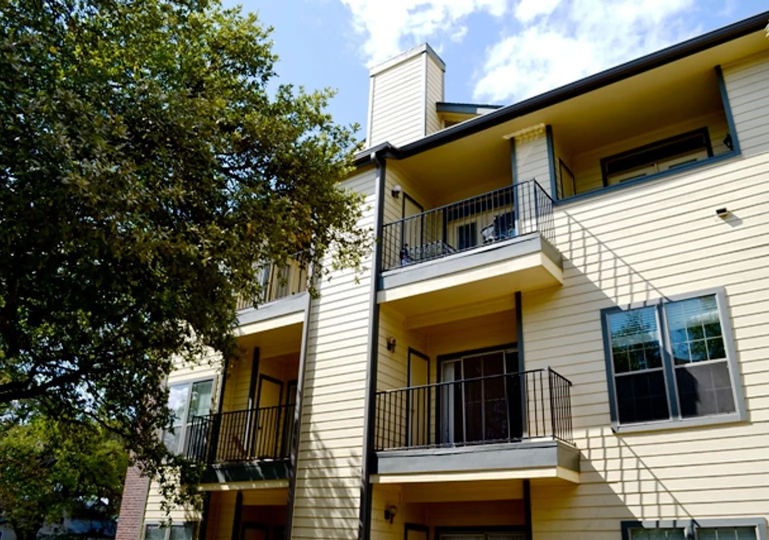 Prelease 8/15/2025 2 Bed 2 Bath — Photo 3