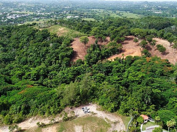 2nd image of Palmar Novoa