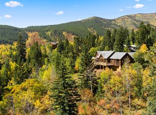 216 Wapiti Way, Basalt, CO 81621
