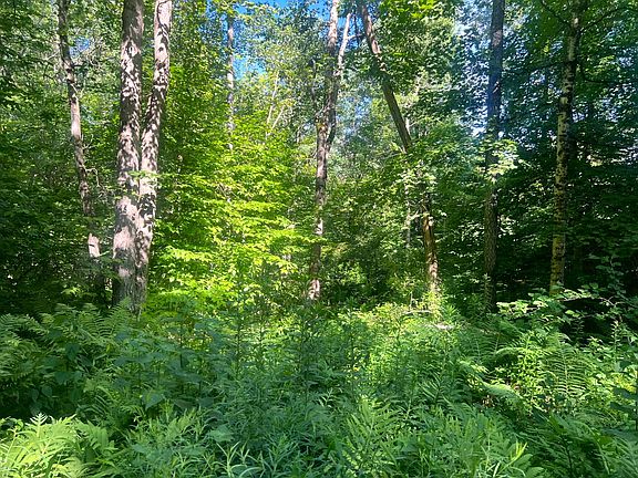 5th image of LOT 6 Carleton Pond Rd
