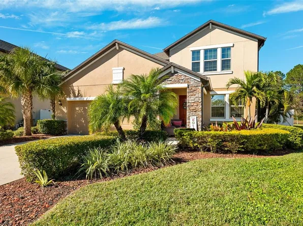 8727 Savory Walk Dr, Land O Lakes, FL 34637