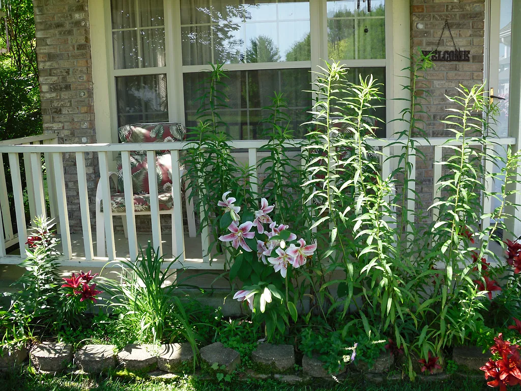 Property photo 4