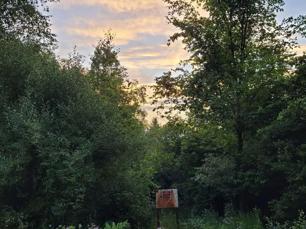 0 Sarsi Cv, Evart, MI 49631