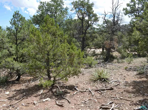Pikes Rd, Thoreau, NM 87323