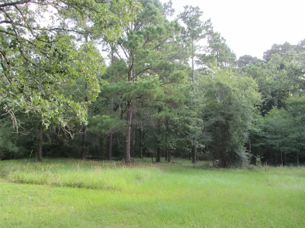 53 Brumley Rd, Huntsville, TX 77320