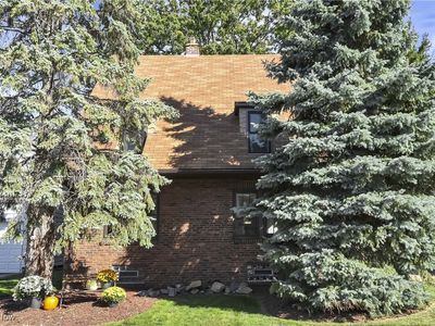 1569 Blossom Park Ave, Lakewood, OH, 44107