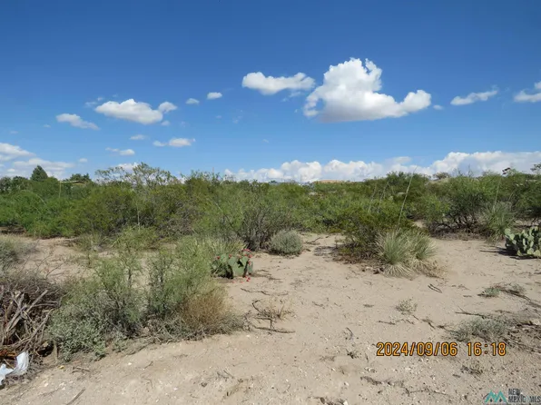 423 San Mateo Ave, Truth Or Consequences, NM 87935