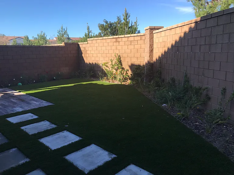 157 Damsel — Photo 10