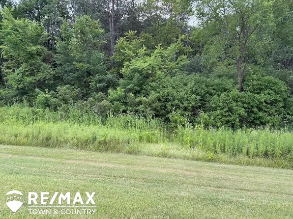 0 E Vienna Rd, Clio, MI 48420