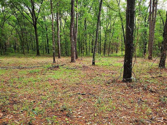 3rd image of 0 Bunn Dr SW