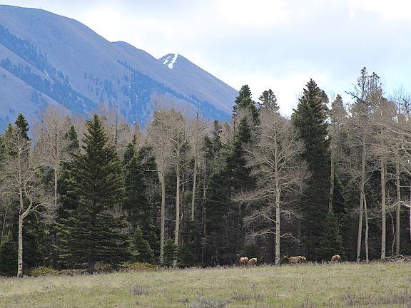 3rd image of Forbes Wagon Creek Lot 473 And 474