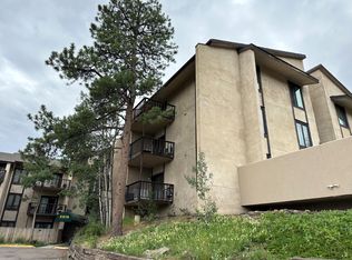 31270 John Wallace Rd APT 210, Evergreen, CO 80439