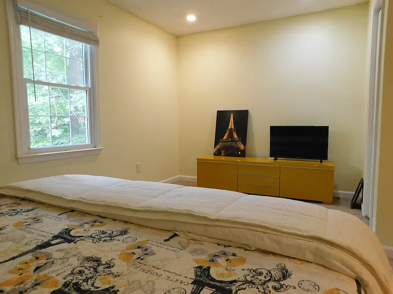 This bedroom has a fan and additional ceiling lighting.