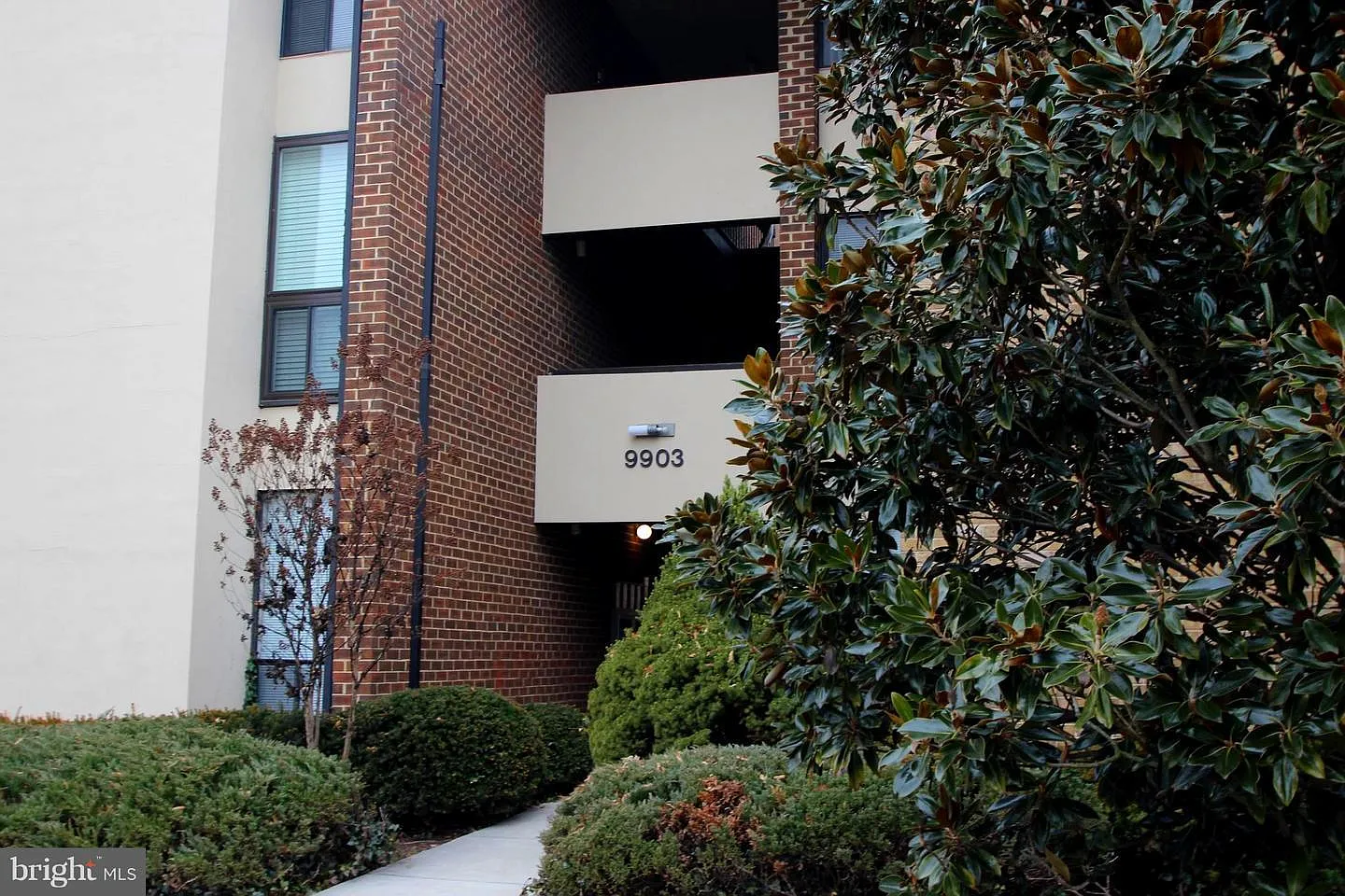 Studio, 547 sqft, $1,199 — Photo 1