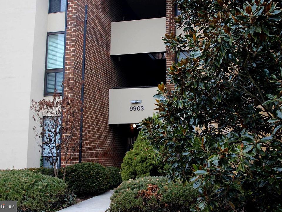 1st image of 9903 Blundon Dr APT 303