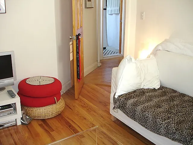 230 Thompson St #22 — Photo 5