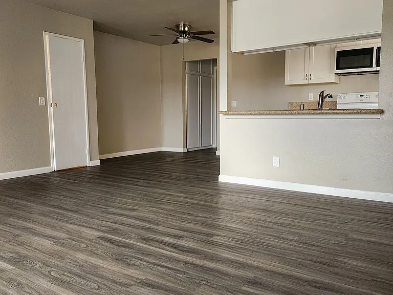 31932 Del Cielo Este — Photo 8