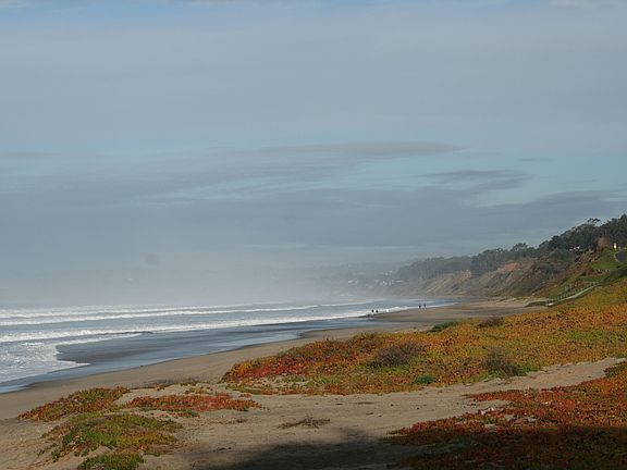Local Beach A Block Away