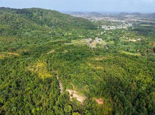 982 FINCAS DE NARANJO, FAJARDO, PR 00738