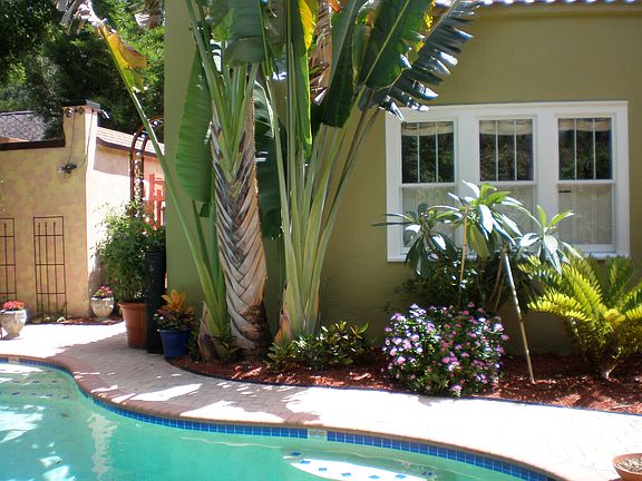 4th image of 330 Jasmine Ave
